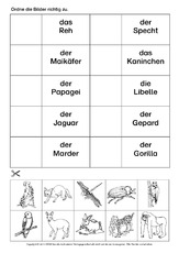 AB-DAZ-Tiere-zuordnen-6.pdf
